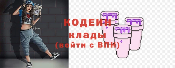 индика Богданович